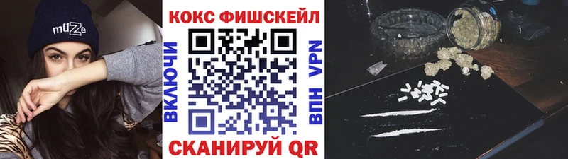 блэк спрут как зайти  Новодвинск  Кокаин Fish Scale 