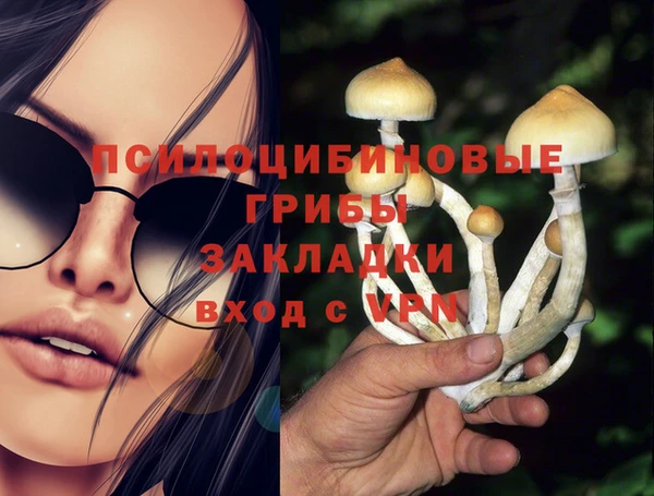 apvp Нягань