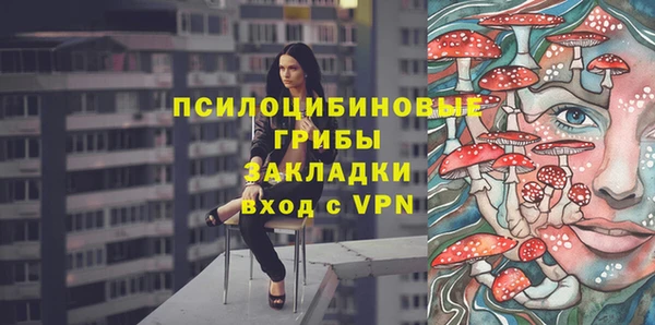 мдма Новозыбков