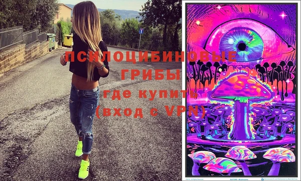 мдма Новозыбков