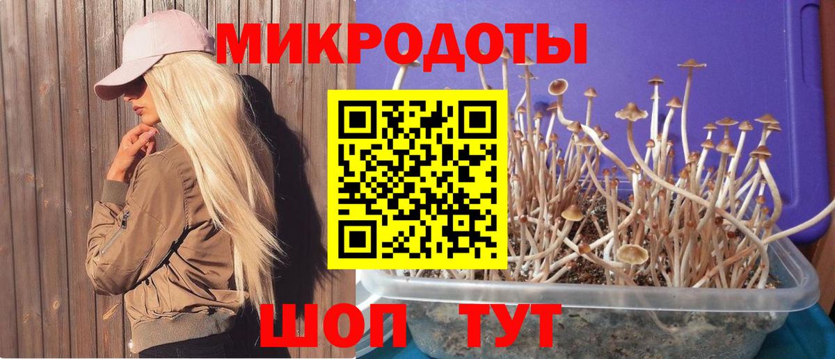 Новодвинск  Лсд 25  Вход с VPN  КОКАИН  Гашиш  Конопля  APVP СК кристаллы  МЕФ кристаллы 