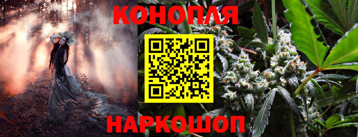 Канабис план  Вход с VPN  Каннабис гибрид  Каннабис White Widow  Новодвинск 